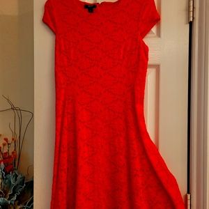 Alfani lace dress fruit punch color